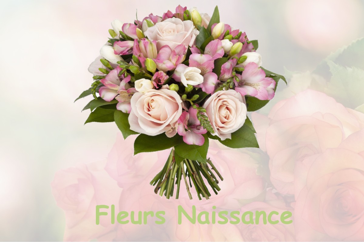 fleurs naissance BRIARRES-SUR-ESSONNE