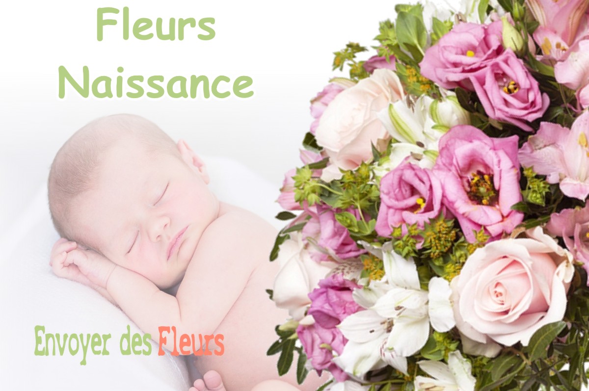 lIVRAISON FLEURS NAISSANCE à BRIARRES-SUR-ESSONNE